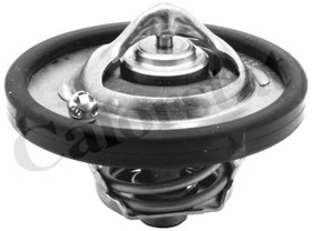 термостат с прокладкой FORD C-MAX 07-, FIESTA V 01-, FOCUS