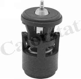 термостат Audi