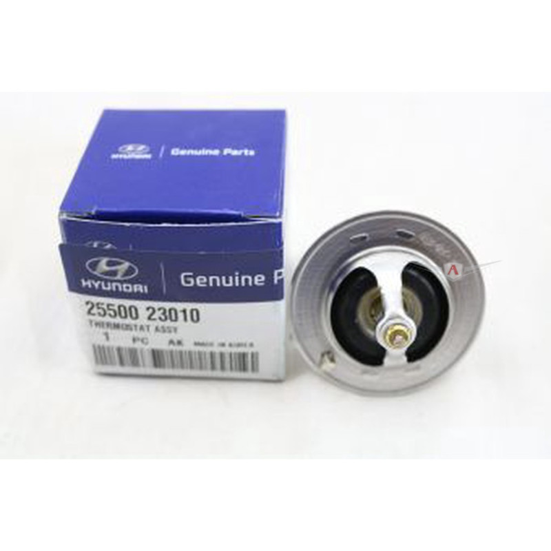 термостат Hyundai, Kia